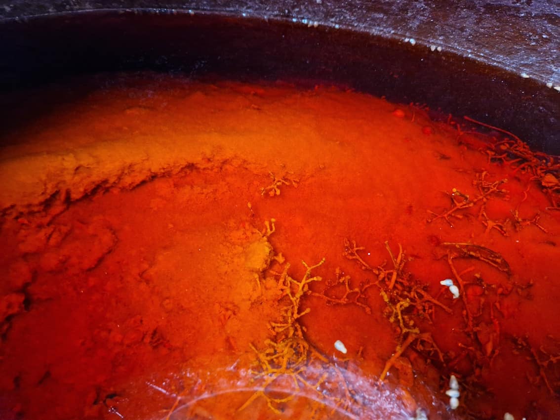 アワー　ワイン　 - 画像 (4)