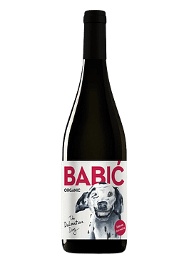 Babic Dalmatian Dog 2018