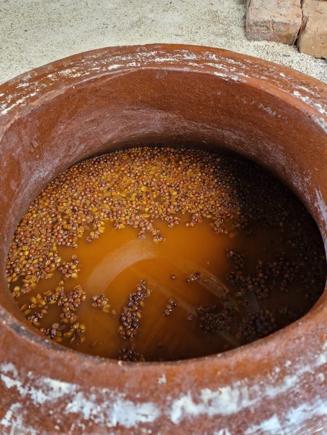 アワー　ワイン　 - 画像 (3)