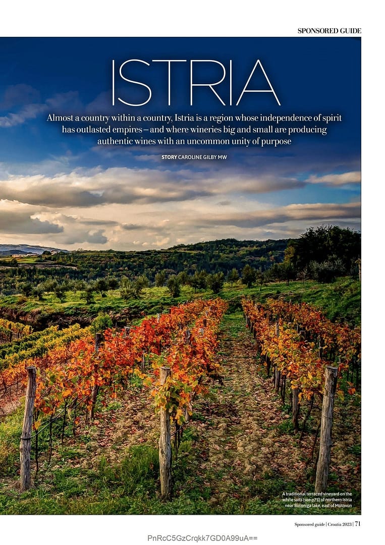 テラン 2018 B&M - 画像 (3)